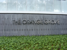 The Orange Grove #1237792